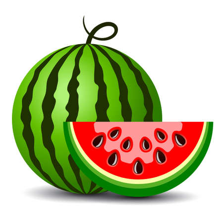 Water melon cartoon, vector clip art on white backgroundのイラスト素材