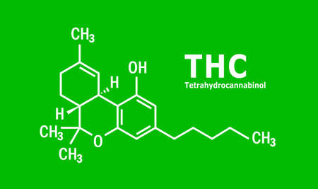 THC or tetrahydrocannabinol molecule structure on green backgroundのイラスト素材
