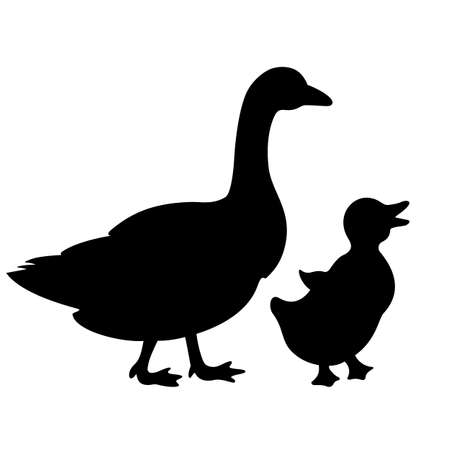 Duck and baby duckling vector icon isolated on whiteのイラスト素材