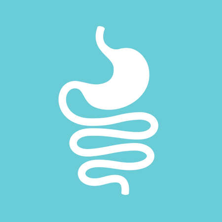 Human gastrointestinal system, stomach and intestine vector iconのイラスト素材