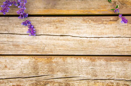 Wooden planks background with flowers, copy space for your textの写真素材