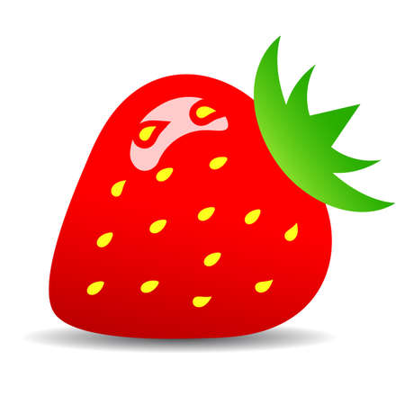 Red ripe strawberry vector illustration on white backgroundのイラスト素材