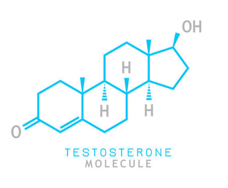 Testosterone male sex hormone vector molecule on white background