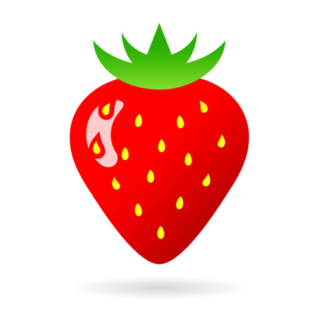 Strawberry vector illustration on white backgroundのイラスト素材