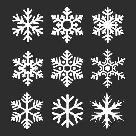 Vector snowflake icon, snow flakes collection on black backgroundのイラスト素材