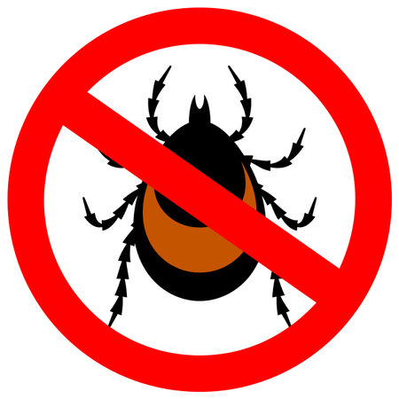 No ticks vector sign isolated on white backgroundのイラスト素材