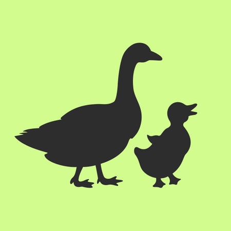 Goose mother with small baby bird, vector silhouette illustrationのイラスト素材