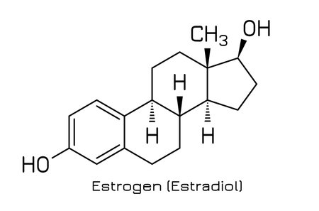 Structural formula of Estrogen female  hormone, vector illustration on white backgroundのイラスト素材