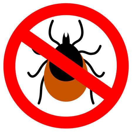 No parasites vector sign isolated on white backgroundのイラスト素材