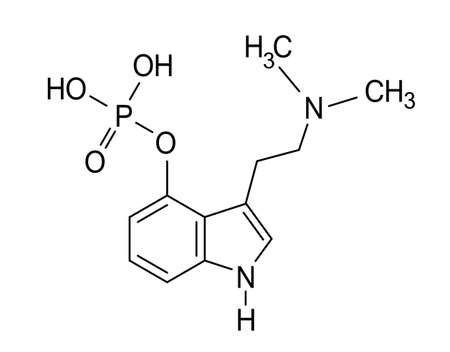 Psilocybin molecule, vector chemical formula on white backgroundのイラスト素材