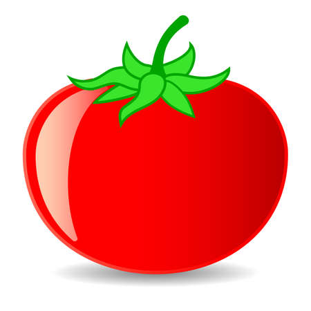 Tomato vector cartoon isolated on white backgroundのイラスト素材