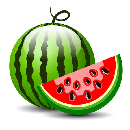 Watermelon vector cartoon isolated on white backgroundのイラスト素材