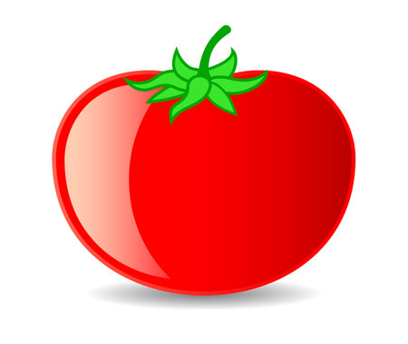 Big red tomato, vector cartoon isolated over white backgroundのイラスト素材