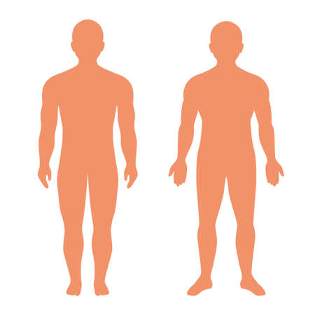 Human body silhouette, standing man vector illustration on white backgroundのイラスト素材