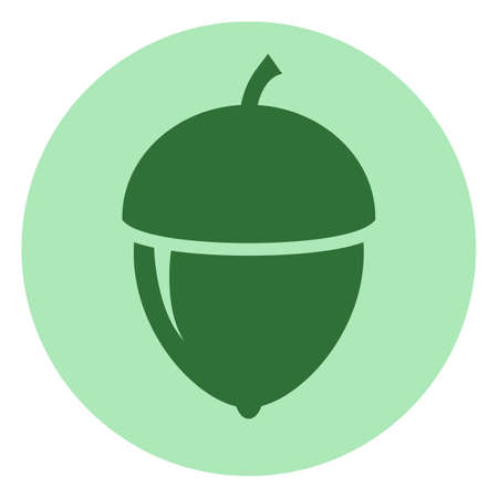 Acorn vector icon isolated on white backgroundのイラスト素材