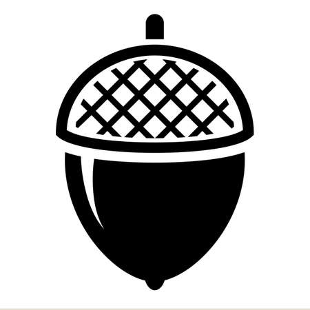 Acorn vector icon isolated on white backgroundのイラスト素材