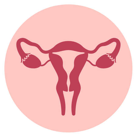 Uterus medical icon, ovary and fallopian tubes illustration on white backgroundのイラスト素材
