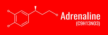Chemical formula of adrenaline, vector structure of molecule on white backgroundのイラスト素材