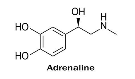 Molecular formula of adrenaline, structure of molecule on white backgroundのイラスト素材