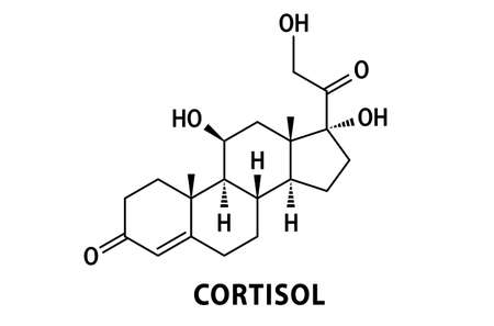 Cortisol hormone formula, chemical structure of molecule on white backgroundのイラスト素材