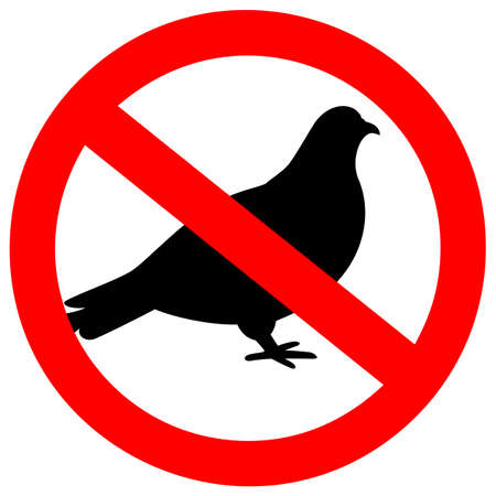No pigeons vector sign on white backgroundのイラスト素材