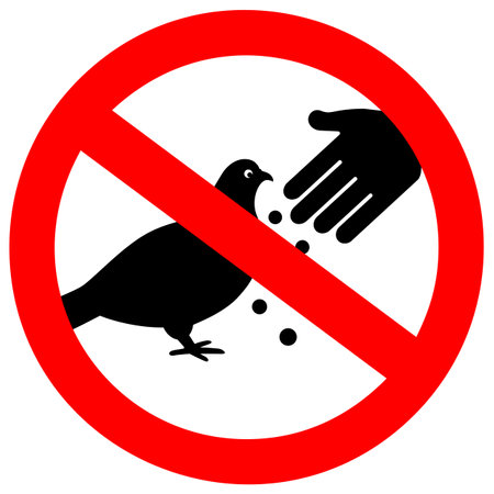 Do not feed birds forbidden sign on white backgroundのイラスト素材