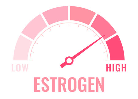Estrogen level meter, vector illustration on white backgroundのイラスト素材