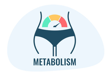 Metabolism vector icon on white backgroundのイラスト素材