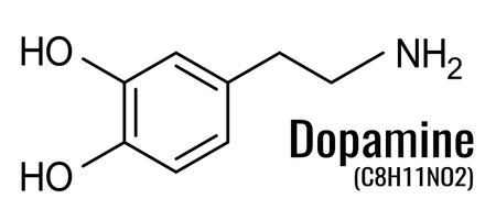 Dopamine hormone formula, chemical structure of molecule, vector illustrationのイラスト素材