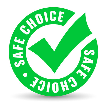 Safe choice vector icon isolated on white backgroundのイラスト素材