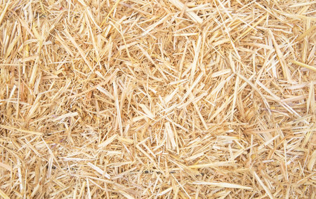 Hay farm background, dry straw texture