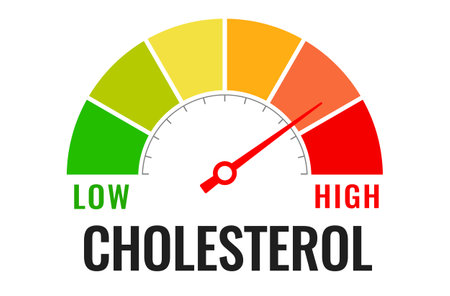 Cholesterol meter icon, low or high level indicator on white backgroundのイラスト素材