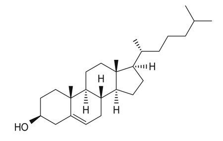 Cholesterol chemical formula, molecular structure on white backgroundのイラスト素材