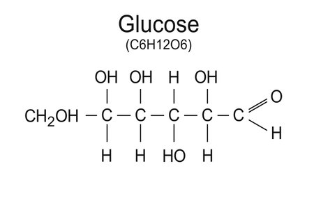 Glucose molecule, vector chemical formula on white backgroundのイラスト素材