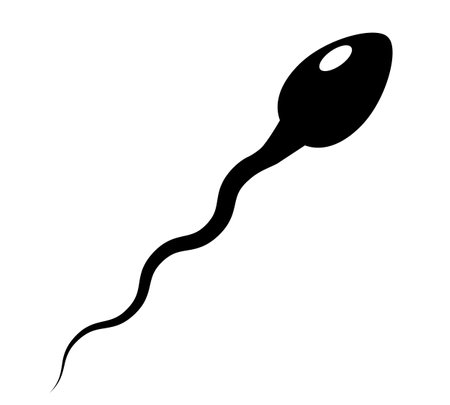 Sperm silhouette vector icon isolated on white backgroundのイラスト素材