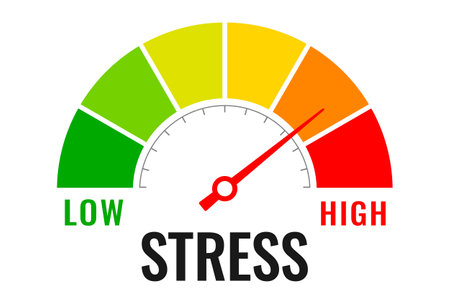 Stress level meter, progress bar gauge over white backgroundのイラスト素材