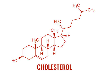 Cholesterol molecule, chemical formula on white backgroundのイラスト素材