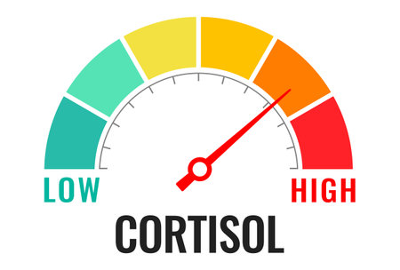 Cortisol lever meter, vector gauge design on white backgroundのイラスト素材