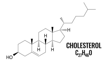 Cholesterol formula, chemical model of molecule on white backgroundのイラスト素材