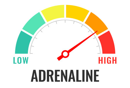 Adrenaline level meter, medical design on white backgroundのイラスト素材
