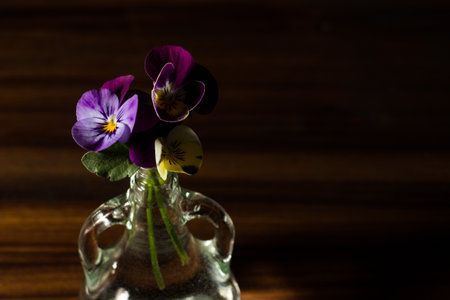 Still life of pansies in a small bottle against dark backgroundの写真素材