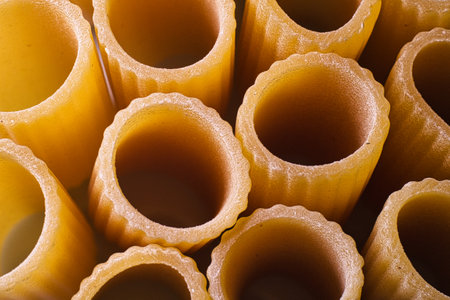 Cylindrical macaroni pasta pieces arranged vertically, viewed from above. Each piece has a fluted texture with a consistent light golden hue.の写真素材