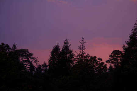 sunset on the horizon with a dramatic sky of pink pastel colorsの写真素材