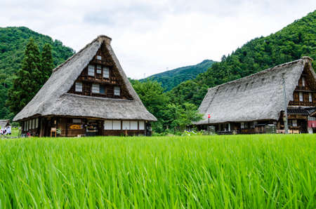 Green Houseの写真素材