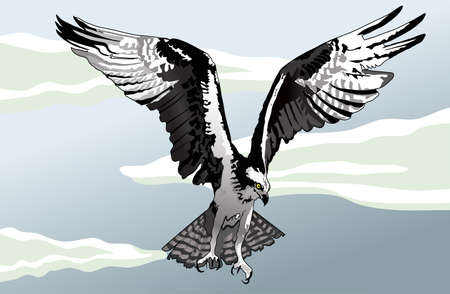 looked sharp on the prowlのイラスト素材