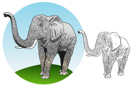 funny animal fatのイラスト素材