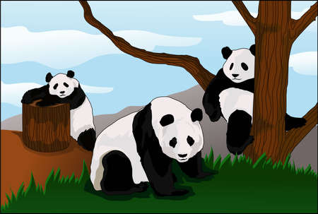 state of the panda enclosure d afternoonのイラスト素材