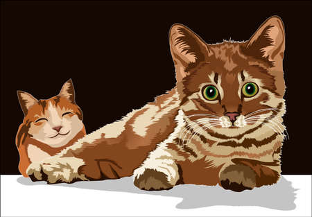cats in style with beautifulのイラスト素材