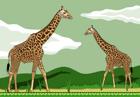 giraffe twoのイラスト素材