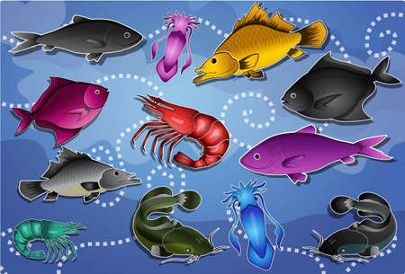 marine lifeのイラスト素材